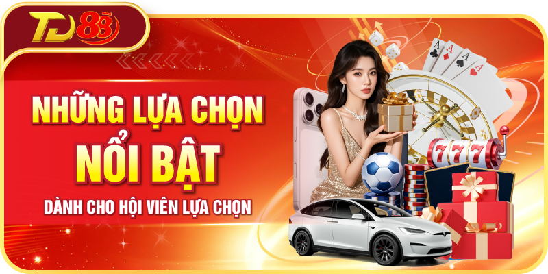 Những lựa chọn nổi bật dành cho hội viện lựa chọn