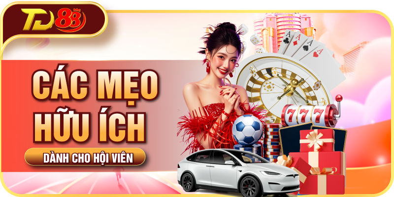 Mẹo nhỏ hữu ích dành cho hội viên